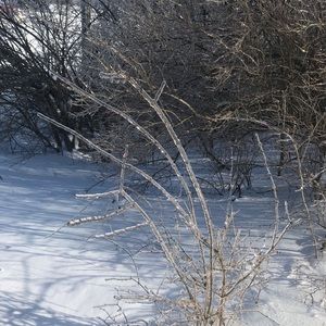 Meet your Posher, Ana